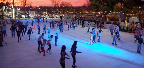 WoodHillsIceRink.jpg