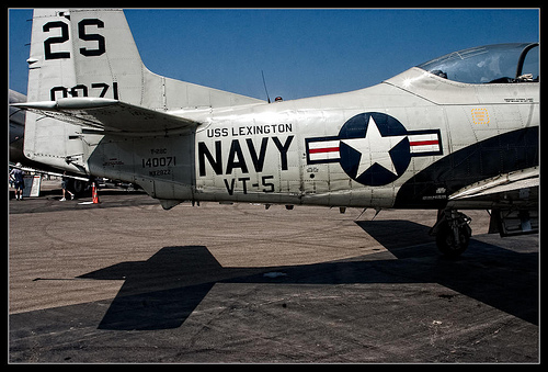 Wings_ScottH_1.jpg