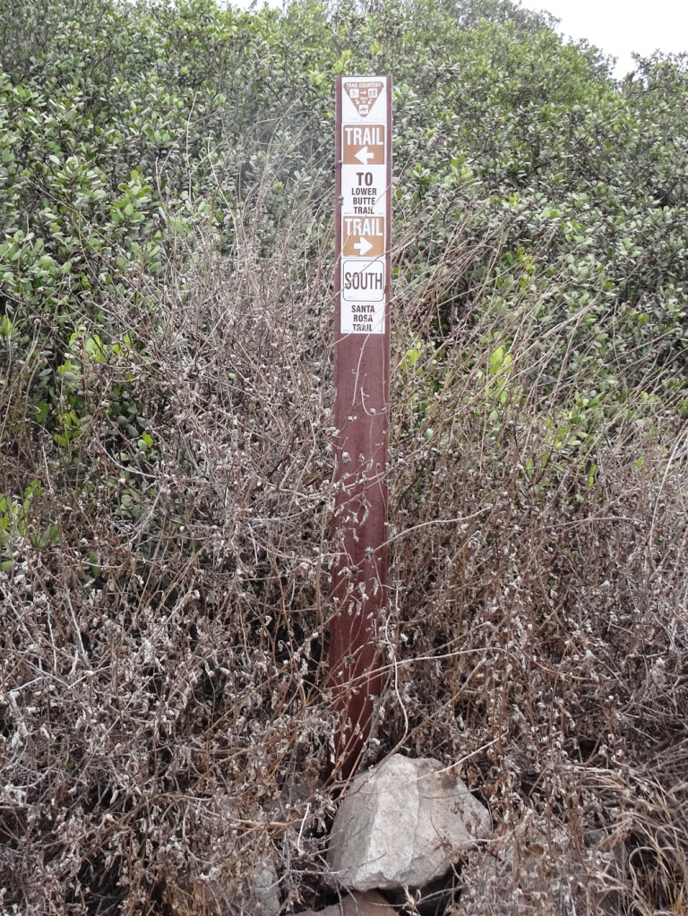 As you crest the hill, follow the arrows toward the Lower Santa Rosa Trail.