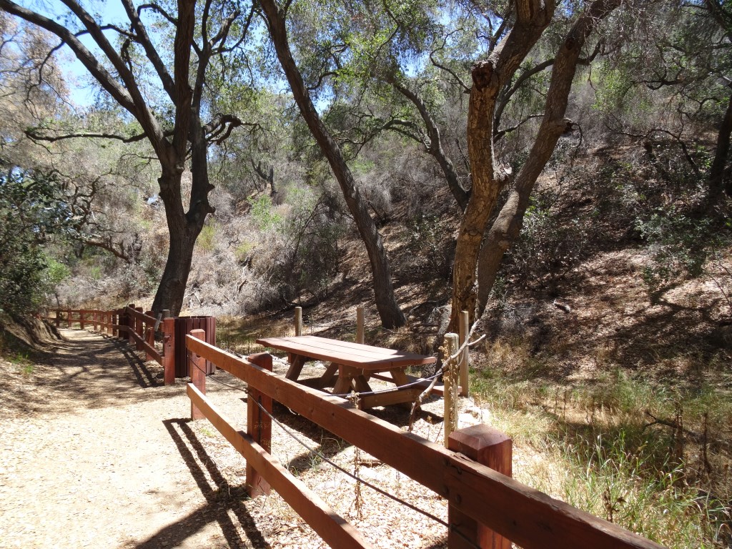 One of three picnic benches along the Interpretive Trail.