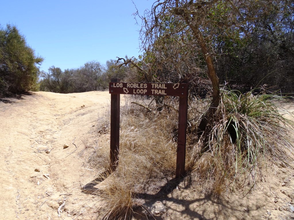 The loop trail continues on the left.