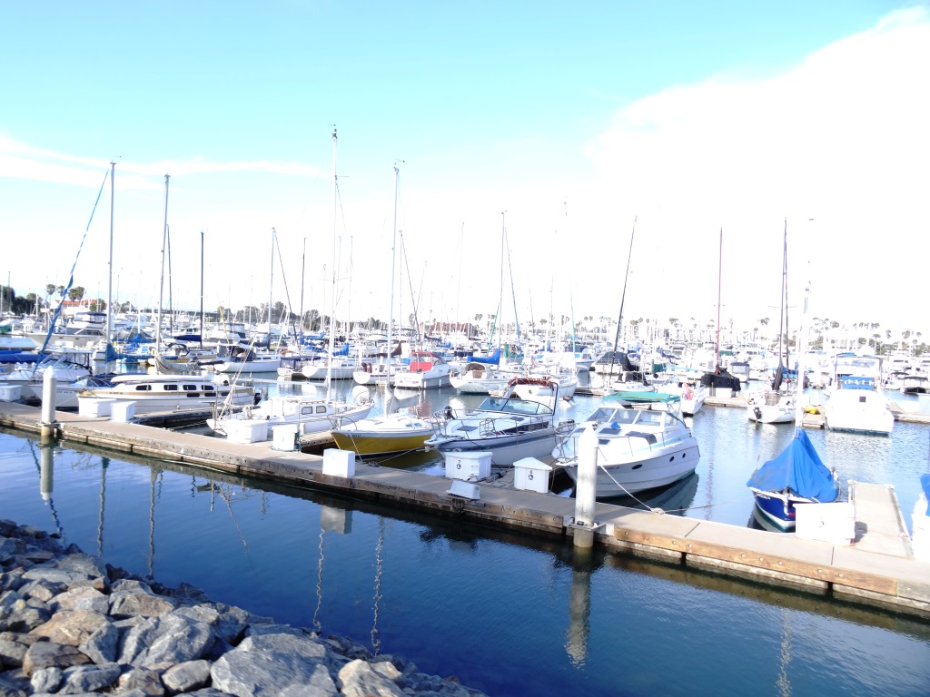 Pretty cool place to ride bikes at the harbor...and rarely crowded in my experience.
