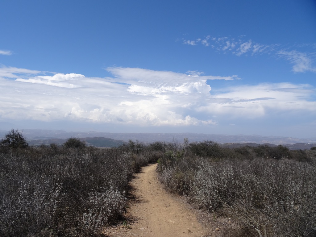 After cresting the first hill from Erbes Road, find the loop trail on the left.