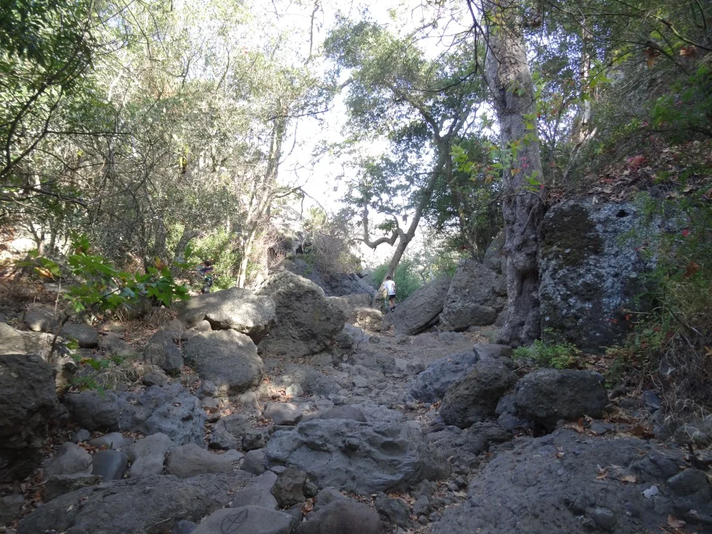 Continue your way to the grotto through this unmarked, increasingly rocky section.