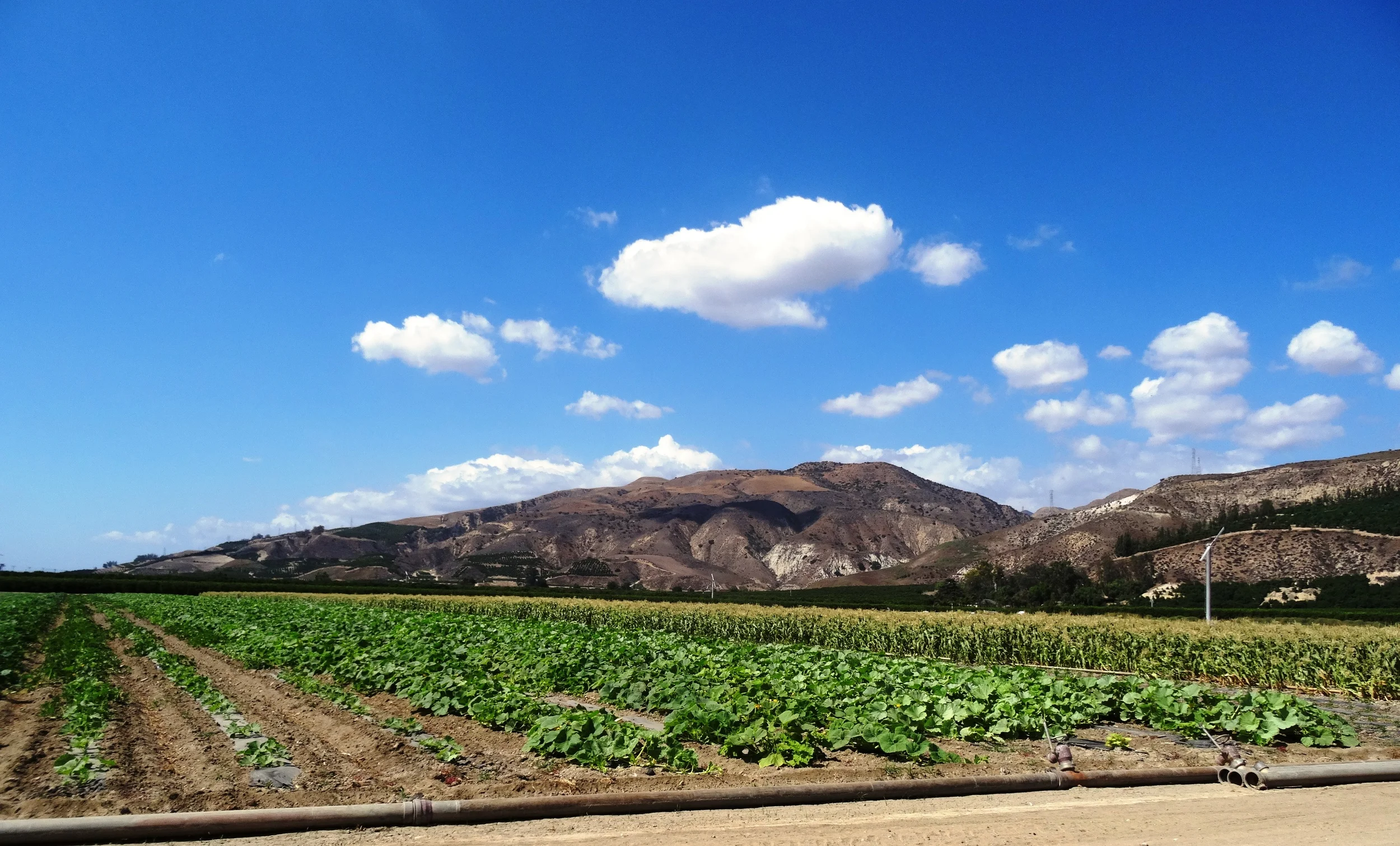 Is Ventura County the Absolute Most Desirable Place to Live in America?