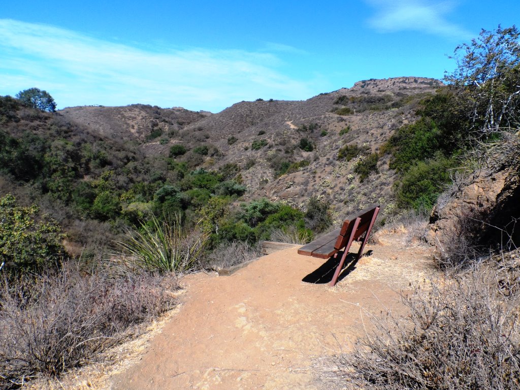 The bench on the Indian Creek Trail in Wildwood Park