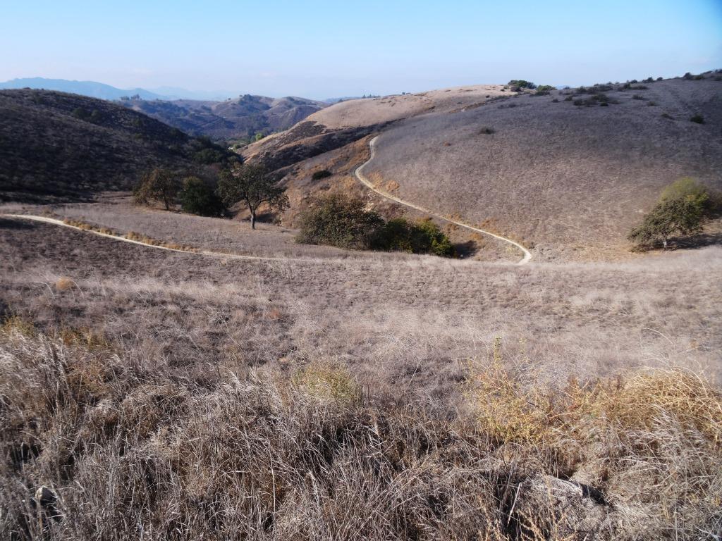 The southern end of the Palo Comado Trail has rolling, moderately steep hills.