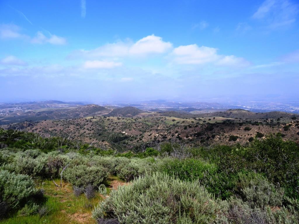 Sure is pretty up here when it is green!