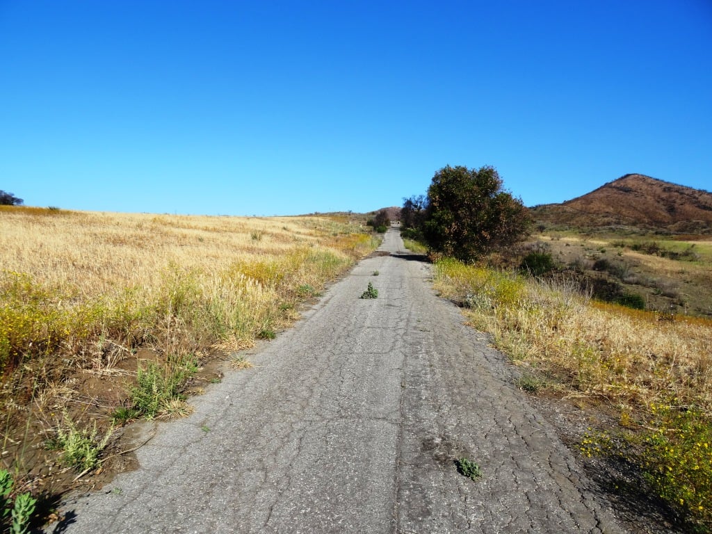 This is one section of Ranch Center Road. As you can see, this is a pretty old road that was used by the ranchers who lived here before the land was acquired by California State Parks.