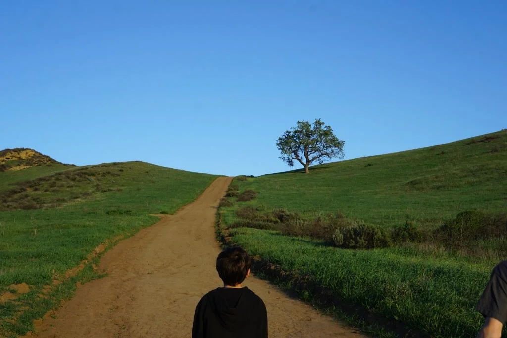 This hill in the Lang Ranch/Woodridge Open Space at the Autumn Ridge Trail is a bit daunting but worth the climb.