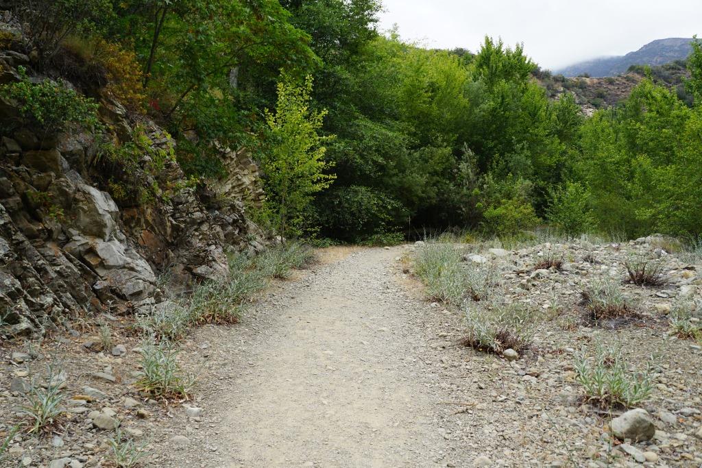 Some sections of the trail are perfectly flat and scenic. Most of the trail you will hear the Santa Paula Creek.