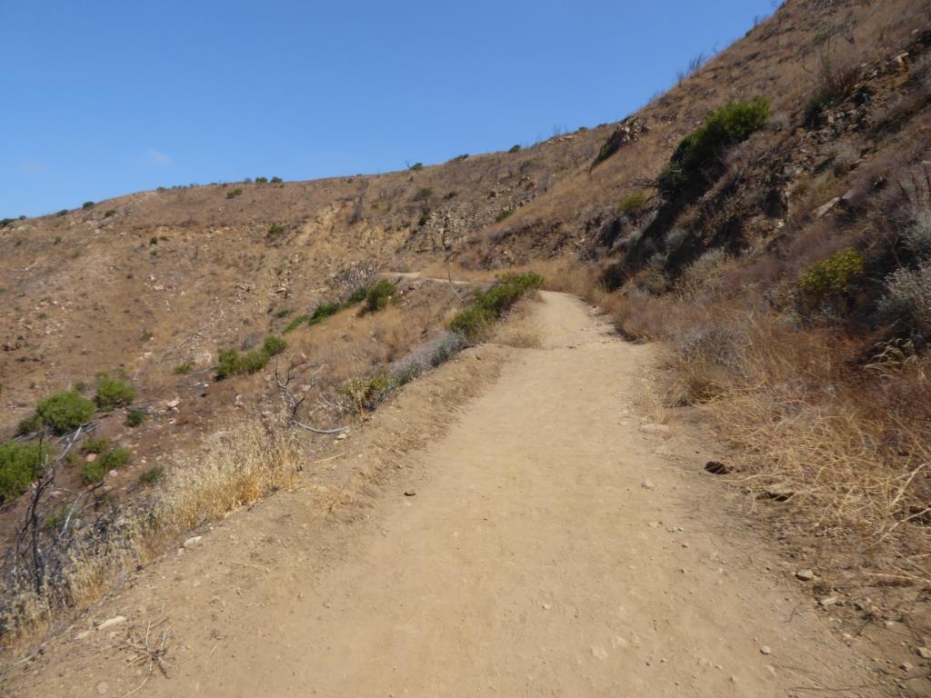Danielson Road is a bit on the steep side but I see folks young and old walking up and down this section all the time. Seen here in very dry conditions.
