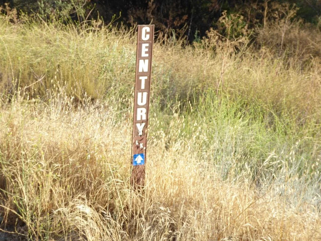 Century Lake is a left hand turn from the main Crags Road trail, after cresting the only significant hill going down the other side. The only indicator is this narrow sign.