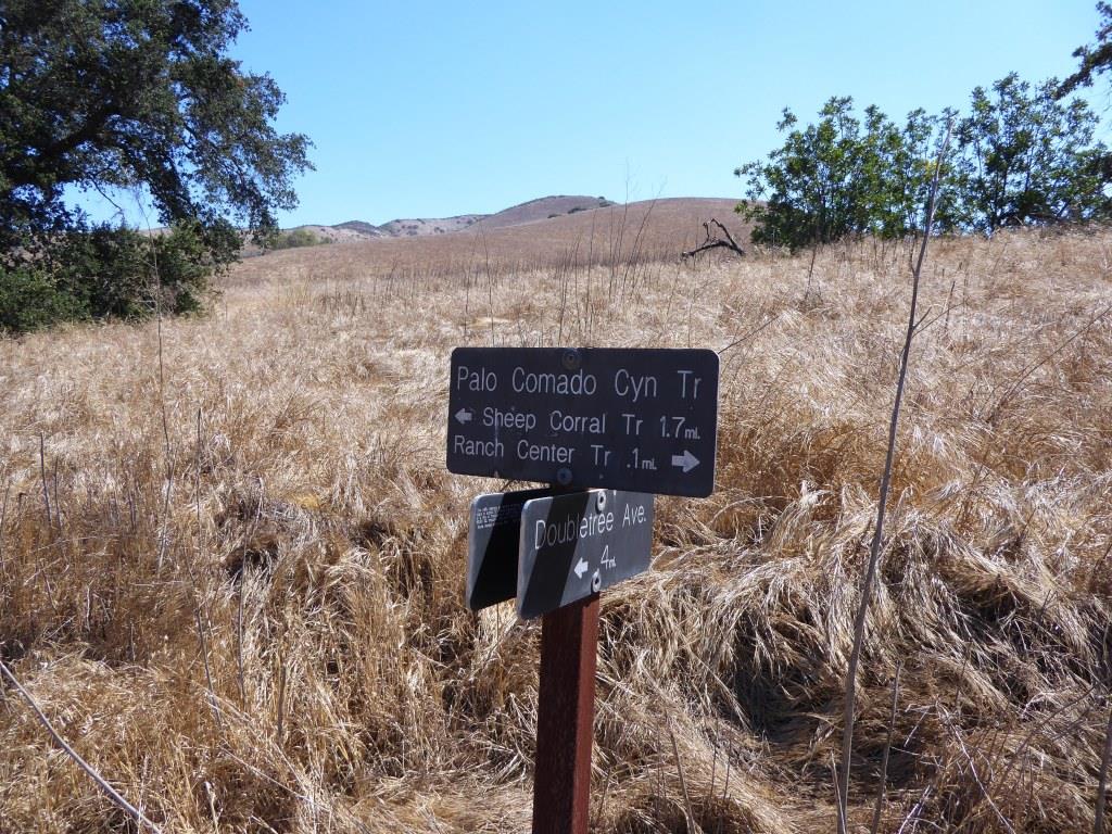 About a half mile from the trailhead gets you to the Palo Comado Canyon Trail, where you'll head north (left).