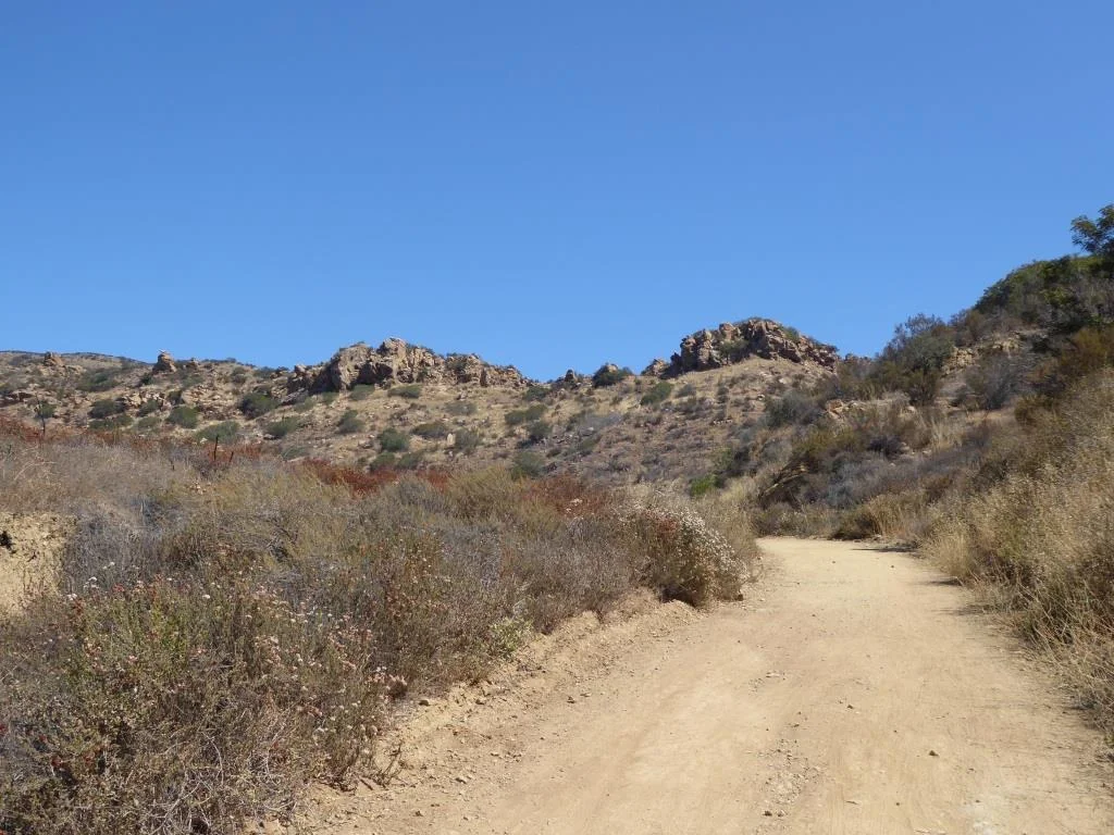 The Palo Comado Canyon Trail is fire road, so it is nice and wide.
