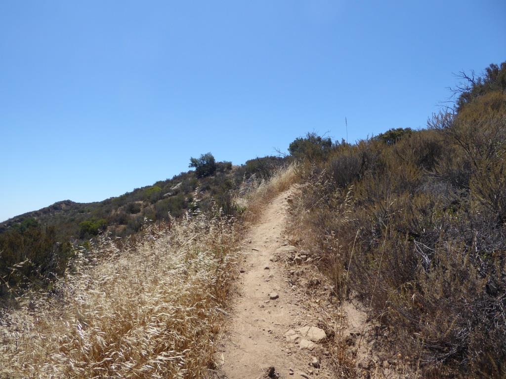The trails get narrower and a bit more technical as you head your way to the peak. Wear good shoes.