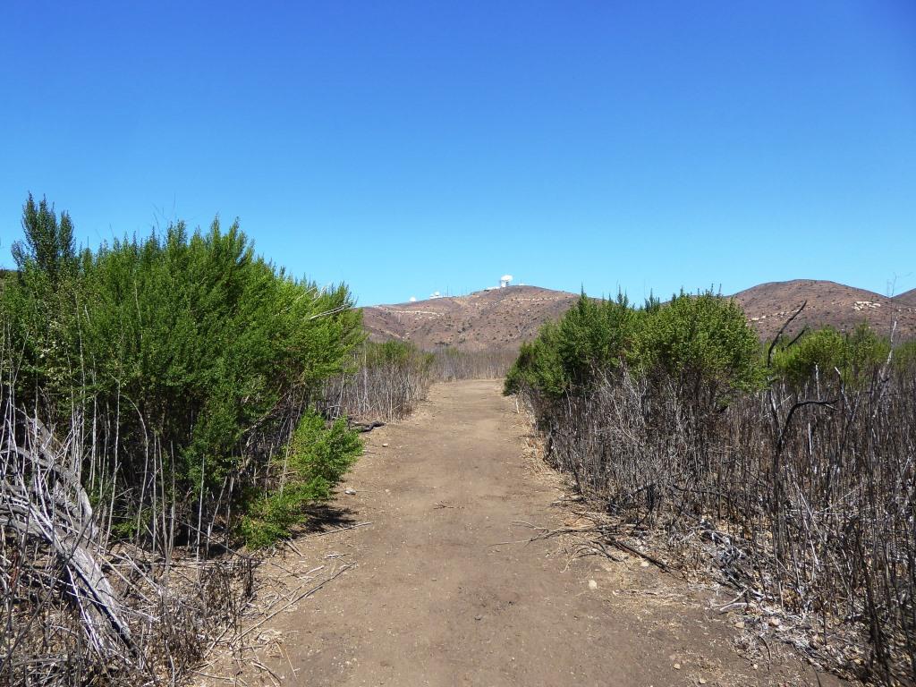 One thing I find of particular visual interest on the La Jolla Canyon Loop Trail is the Naval Base Ventura County satellite tracking station situated at the top of nearby Laguna Peak. 