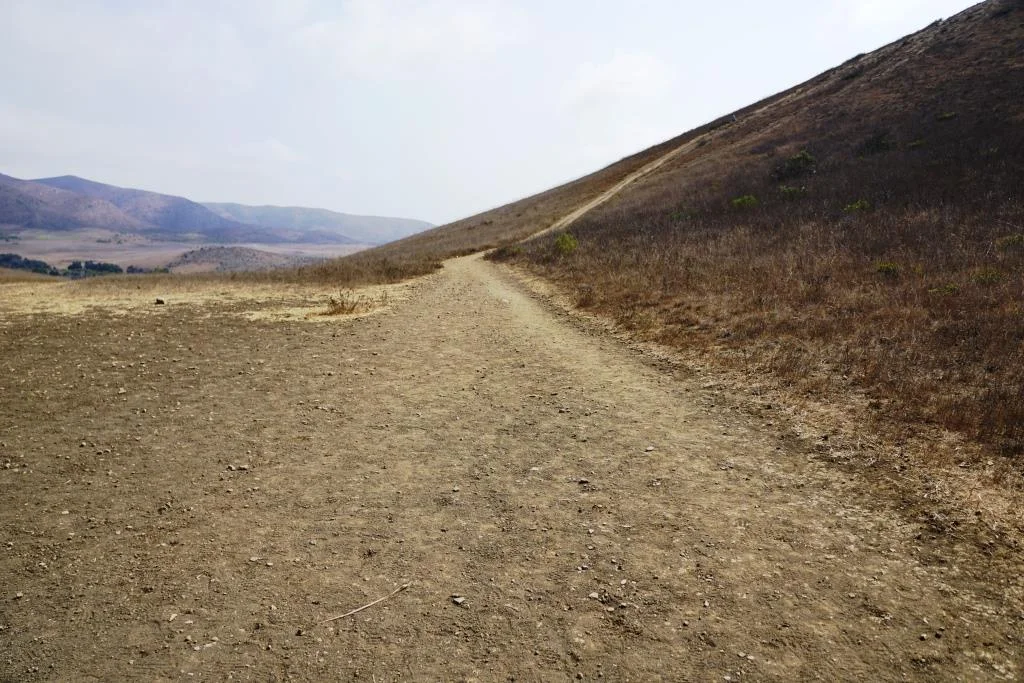 Turn left after reaching the top of the Chumash Trail. Veering left continues the Chumash Trail towards La Jolla Valley. Veer right up the really steep hill for the most direct route to Mugu Peak.