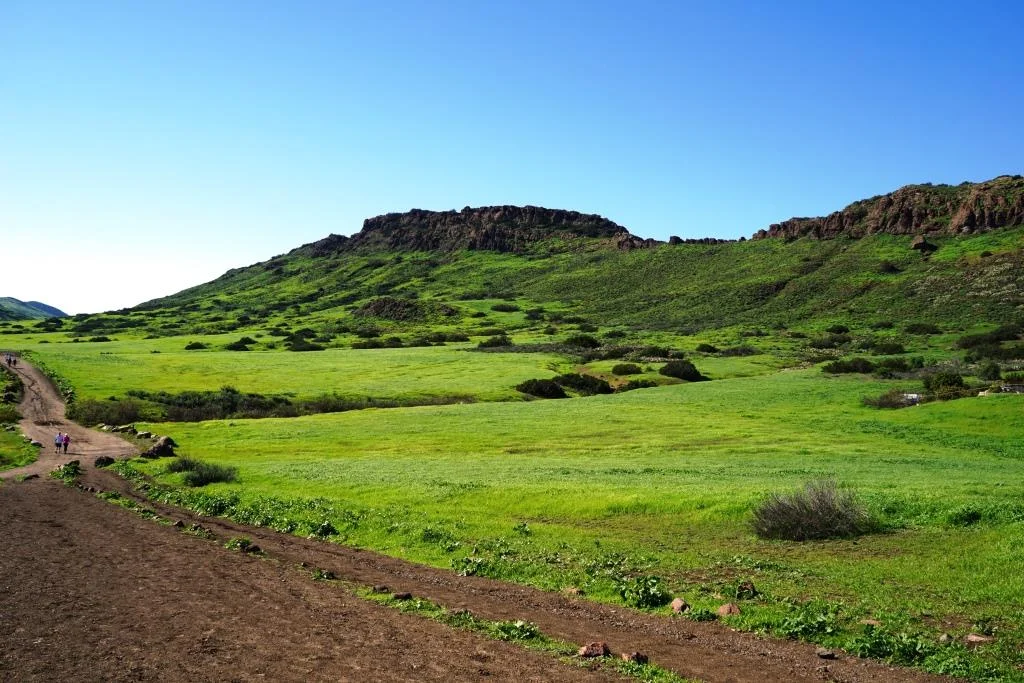 Mountclef Ridge at Wildwood Park