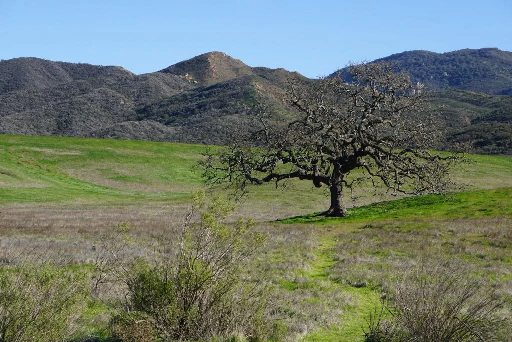 Compilation of Great Trails and Hikes In and Around Ventura County ...