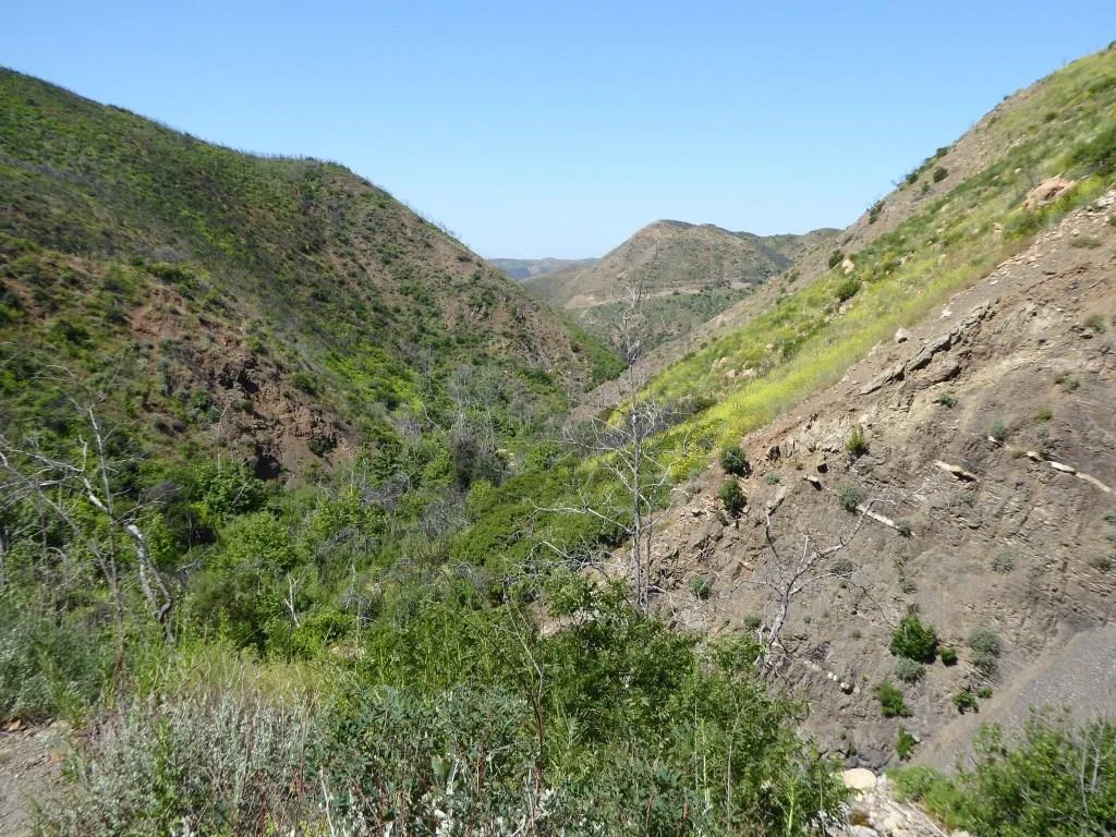 Inside the canyon, looking west, towards the Sycamore Canyon Fire Road.