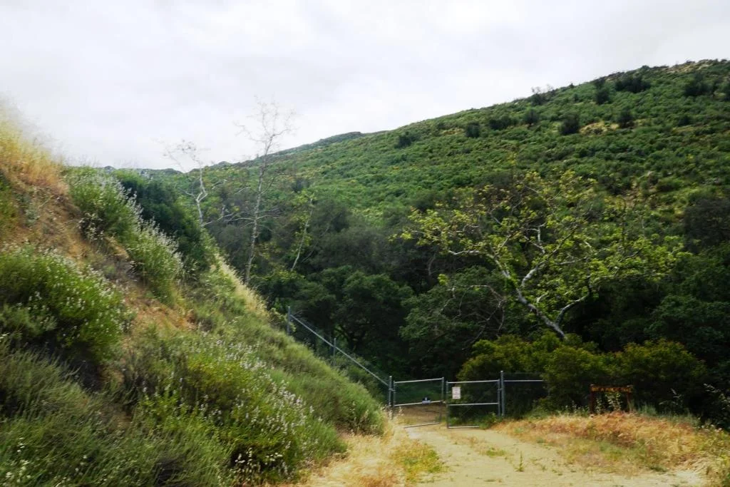 This is the section of Albertson Motorway not accessible to the public.