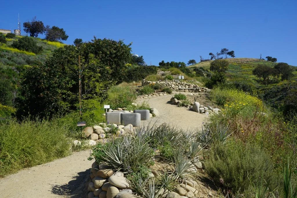 Ventura Botanical Gardens Demonstration Trail Is Quite Colorful In