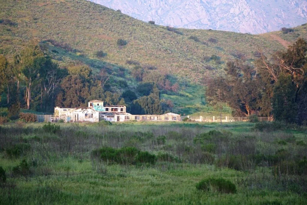Then and Now The Dairy Farm at Camarillo State Hospital — Conejo