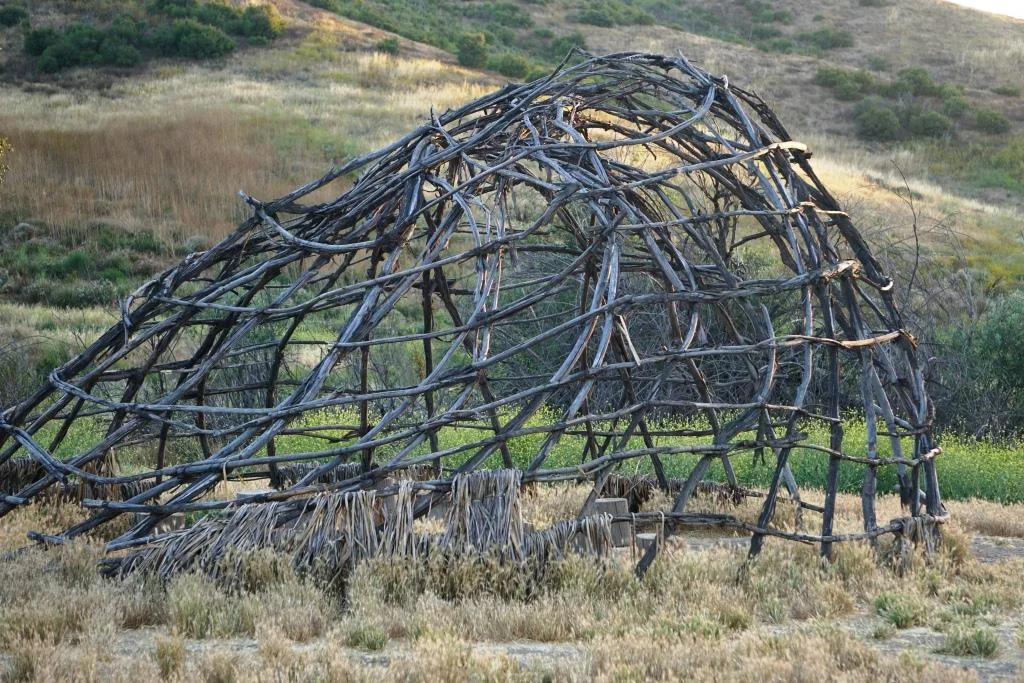 The 'ap at Rancho Sierra Vista/Satwiwa in June 2017. I spoke with the ranger about this 'ap, which is quite past its prime and has become misshapen. At some point what the Chumash do, when an 'ap is no longer of use and needs to be re-built, is take the willow poles down and burn them in a ceremony.