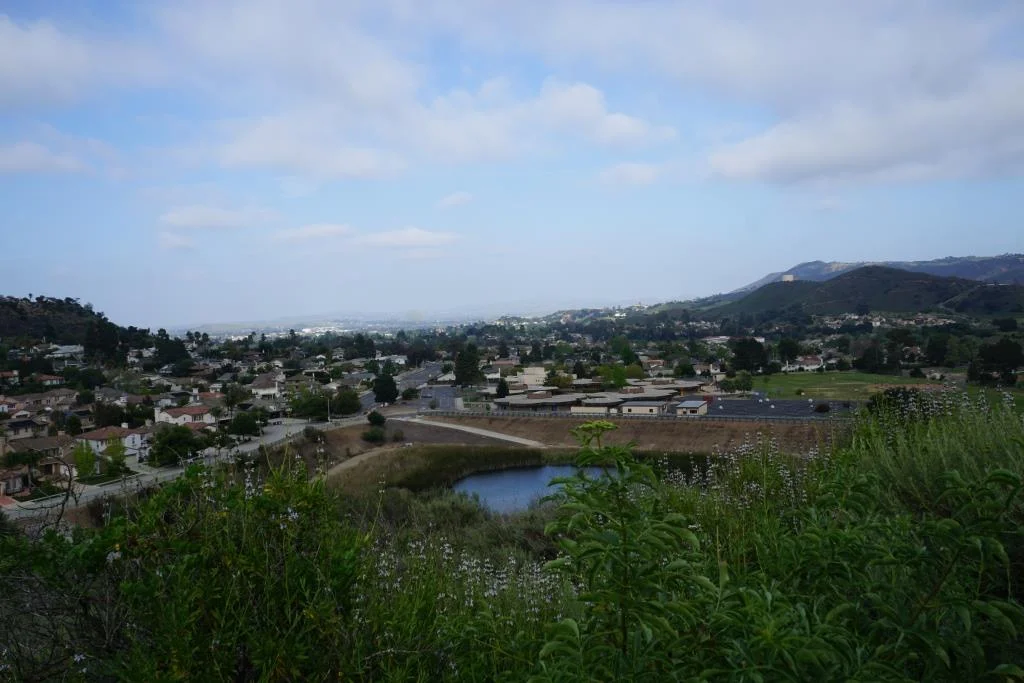 Views toward the protected pond behind Cypress Elementary, along Via Rio.