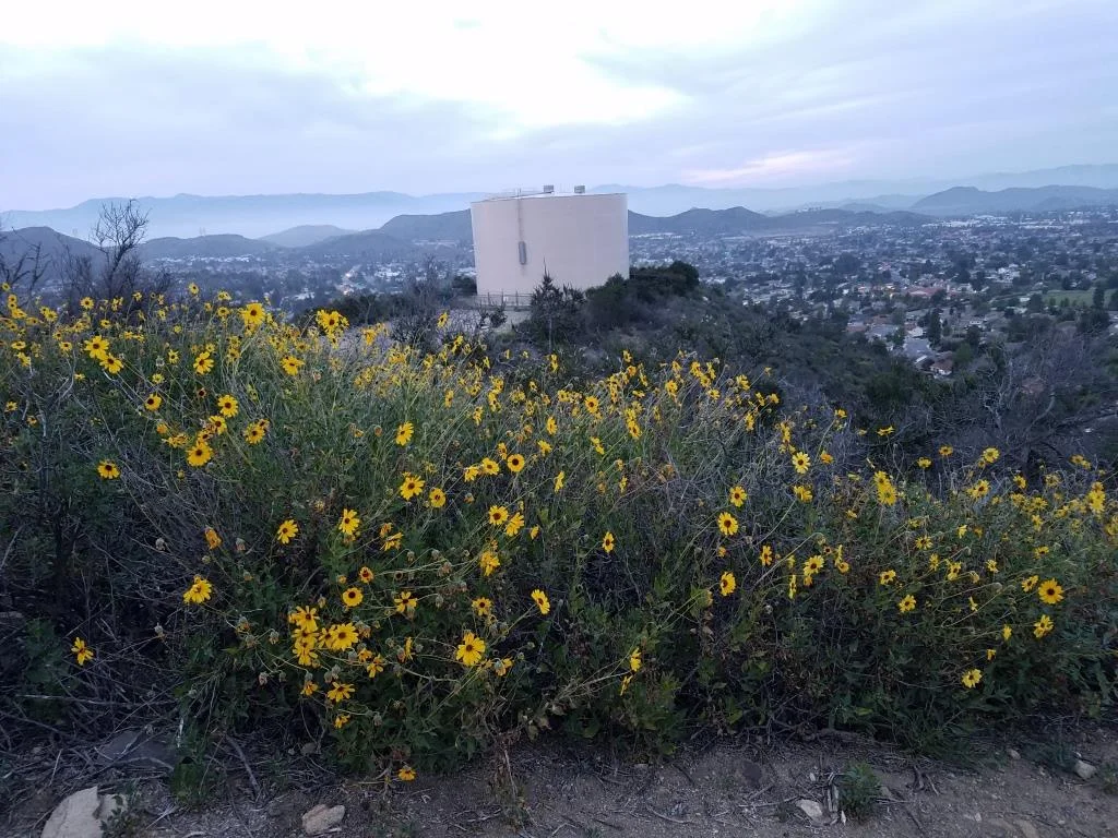 Views towards the water tank at top of Potrero Ridge Trail (middle section)