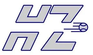 HittingZoneWLV.jpg