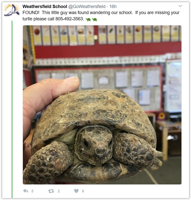 I retweeted the post on my Twitter page.