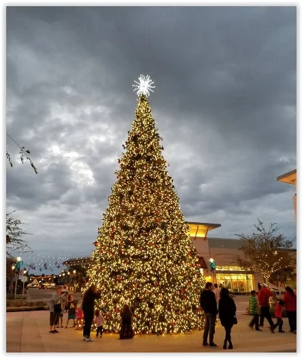RiverparkTree.jpg