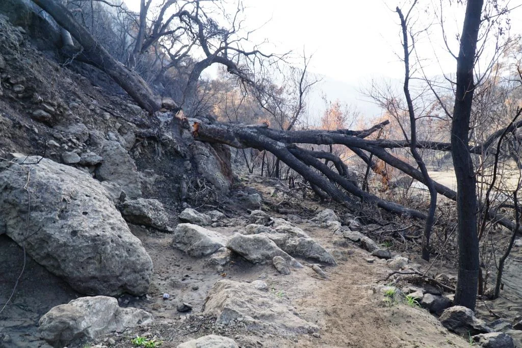 As you can see, getting to the MASH site has some challenges resulting from the Woolsey Fire and subsequent rainstorms. Best to wear very solid hiking shoes and stay on the path as best you can.