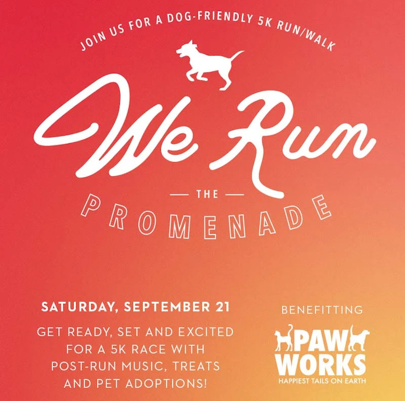WeRunthePromenade2019_edited.jpg