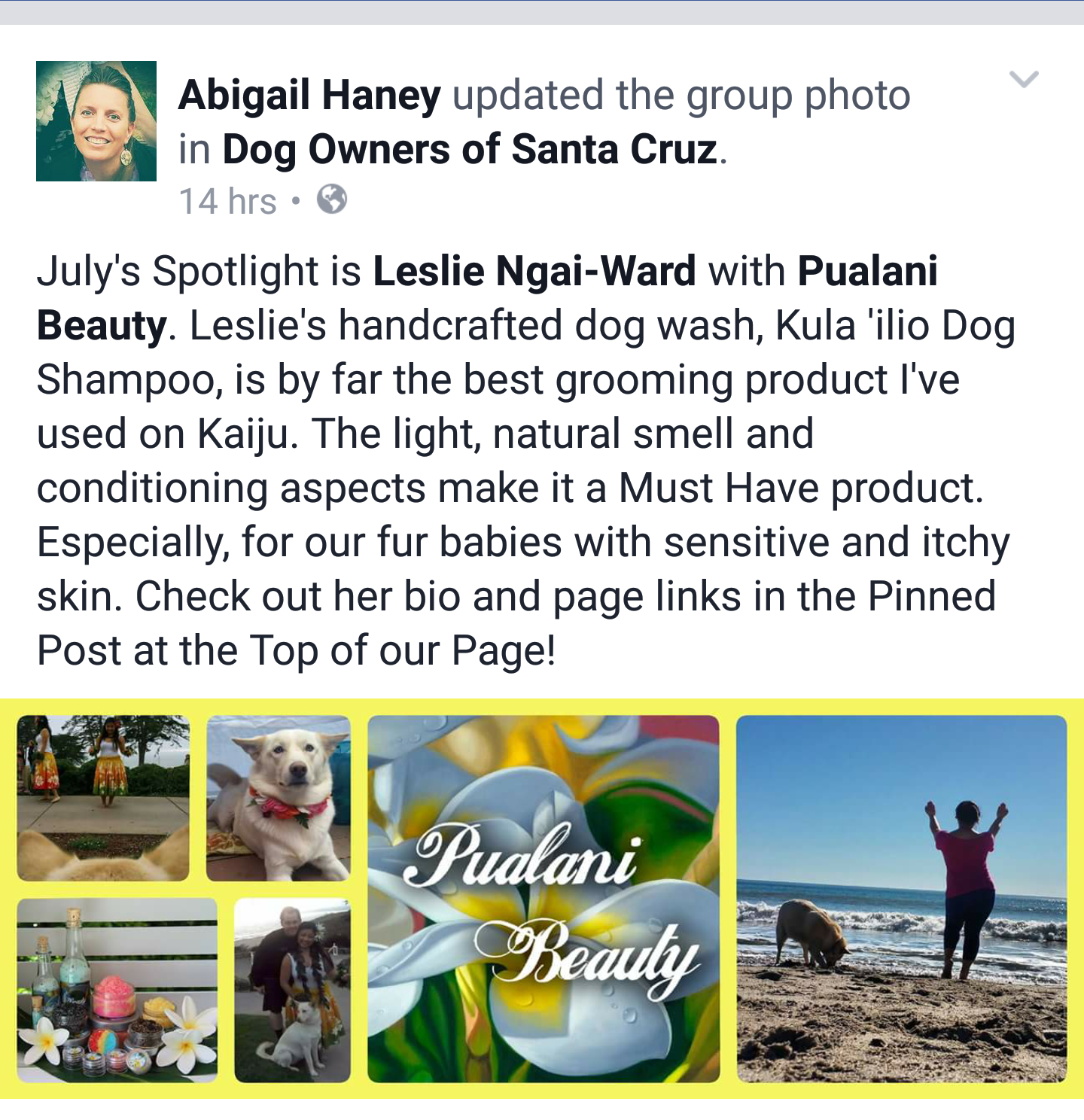 We were featured in Dog Owners of Santa Cruz (DogOSC) for our Kula 'ilio (dog) Wash