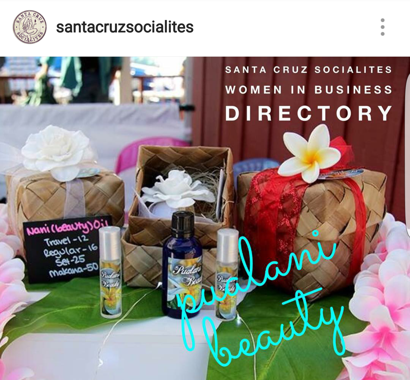 Santa Cruz Socialites Women in Business Directory
