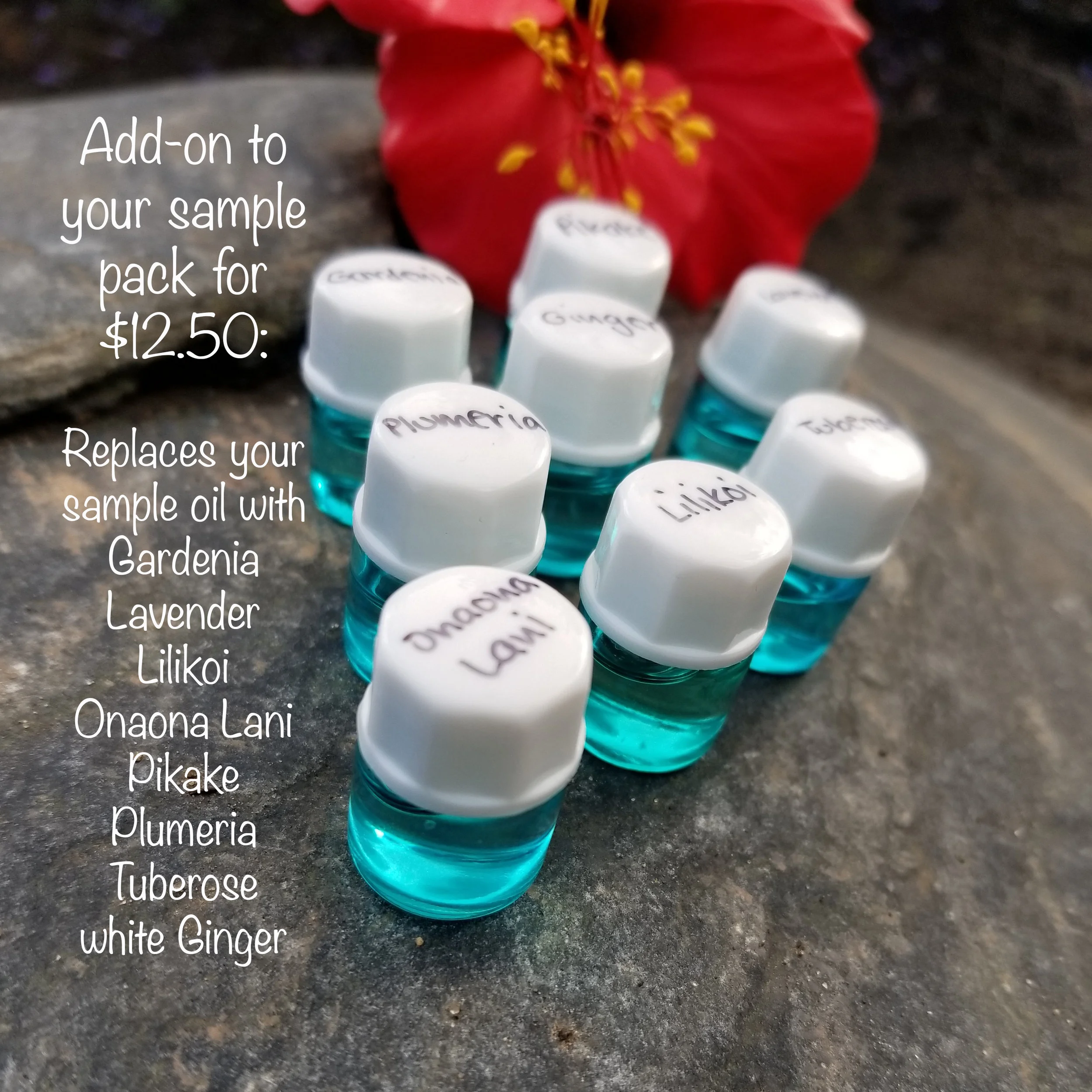 2018-01-19 14.16.22-1 copy.jpg