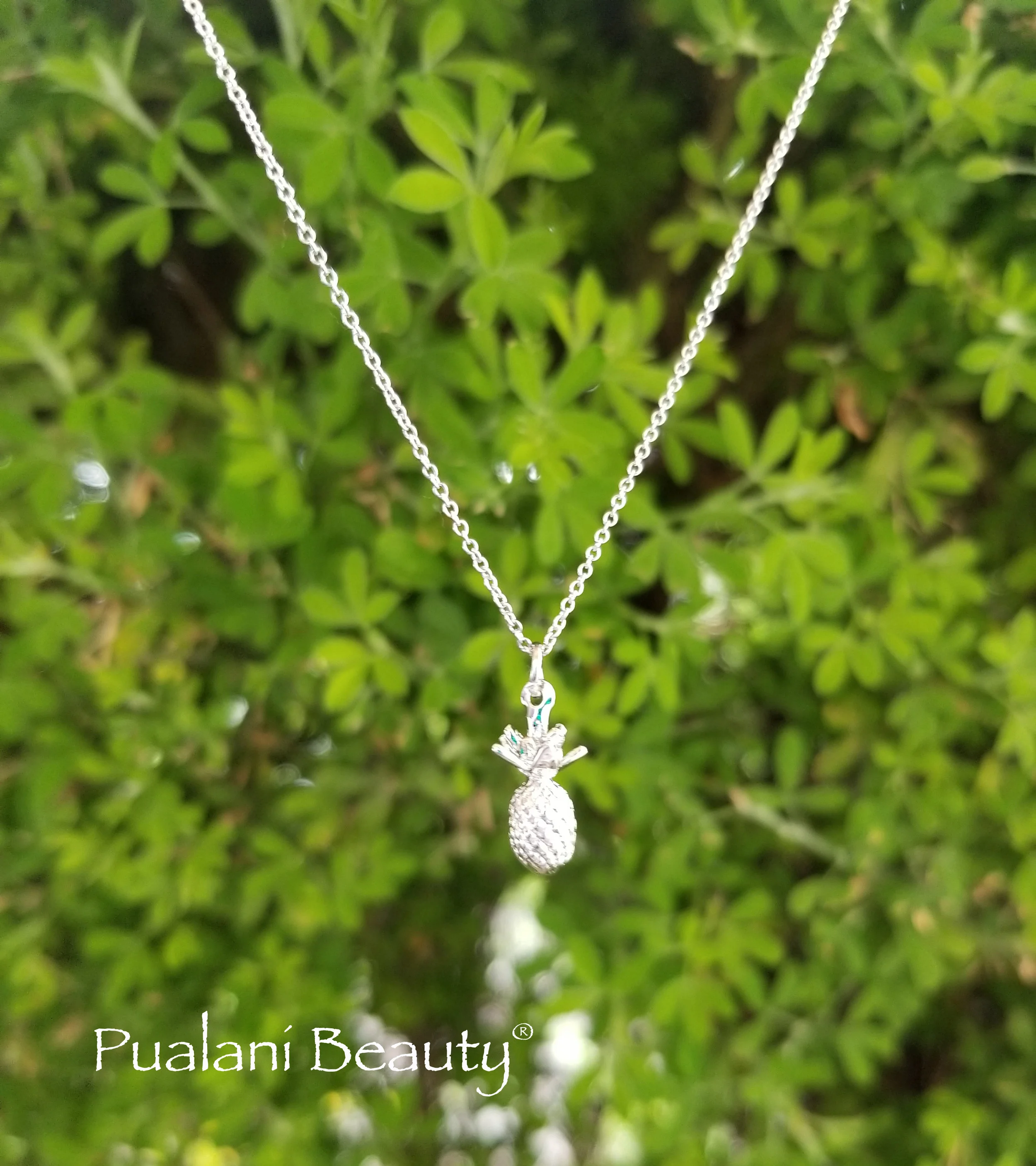 2018-01-07 14.44.41a.jpg