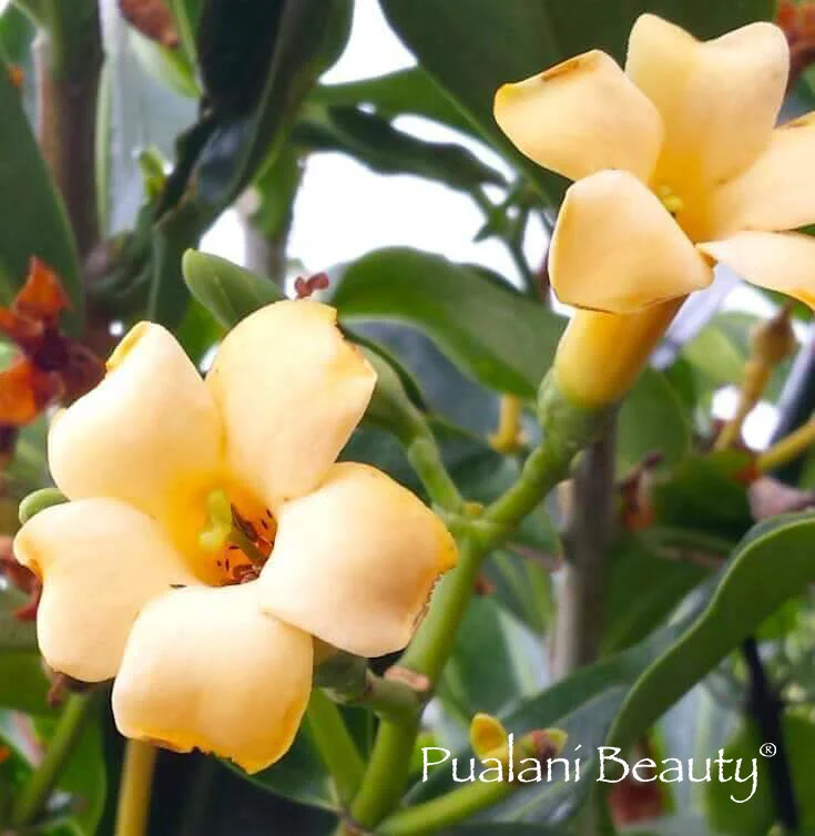 2016-05-04 16.32.22a.jpg