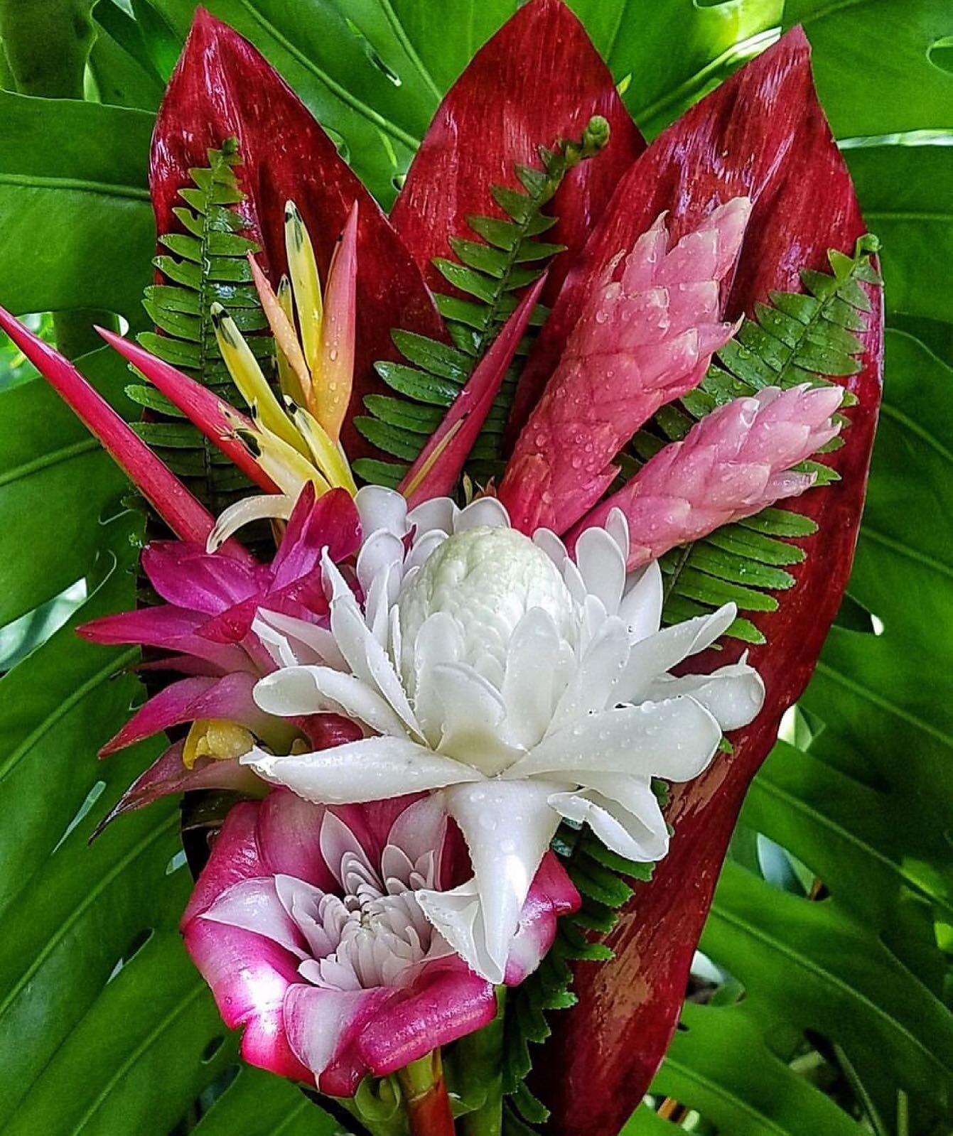 Love Hawaiian bouquets 🌺
PC @farmrgrrl
..
..
#pualanibeauty #Hawaii #Hawaiian #natural #organic #skincare #beauty #fromhawaii #santacruz #madeinsantacruz #handmade  #beachlife #hawaiistagram #livealoha #representhawaii #shopsmall #etsyshop #sharealo