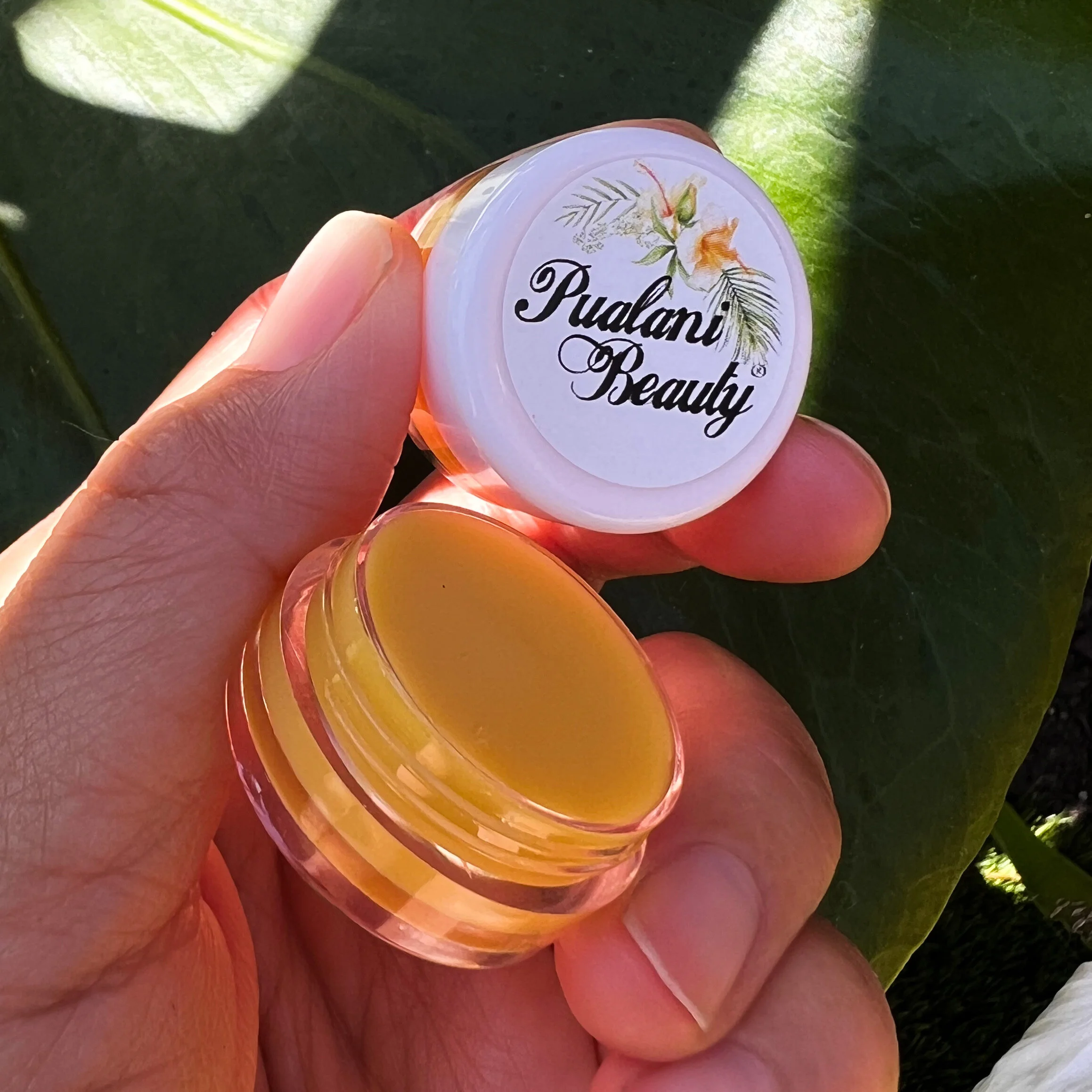 F96023DD-0F8E-45DE-A459-3A43915BEC30