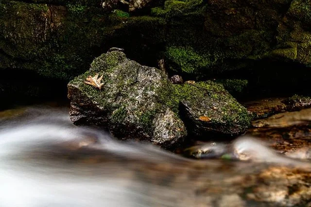 Sometimes I take life lessons from boulders #naturegood .
.
.
.
.
.

#roamtheplanet #ourplanetdaily #awesomeearth #artofvisuals #visualsoflife #awakethesoul #thoughtoftheday #moodygrams #moodnation #exploretocreate #welivetoexplore #stayandwander  #l