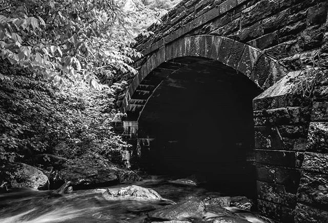 I'll never get over the thrill of almost losing gear in a flowing stream of water 😂 .
.
.
.
.
.

#waterfall #blackandwhite #bnw #gameoftones #photooftheday #sonya7riii #sonyalpha #fineartphotography #bnw_nature #roamtheplanet #ourplanetdaily #wander