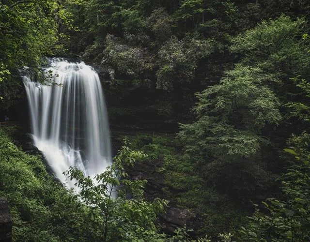 I would love to take this same shot in the other seasons of the year 🍂❄ .
.
.
.

#goals #waterfall #greenery #longexposure #gameoftones #photooftheday #sonya7riii #sonyalpha #naturephotography #travelstories #roamtheplanet #ourplanetdaily #wanderlus