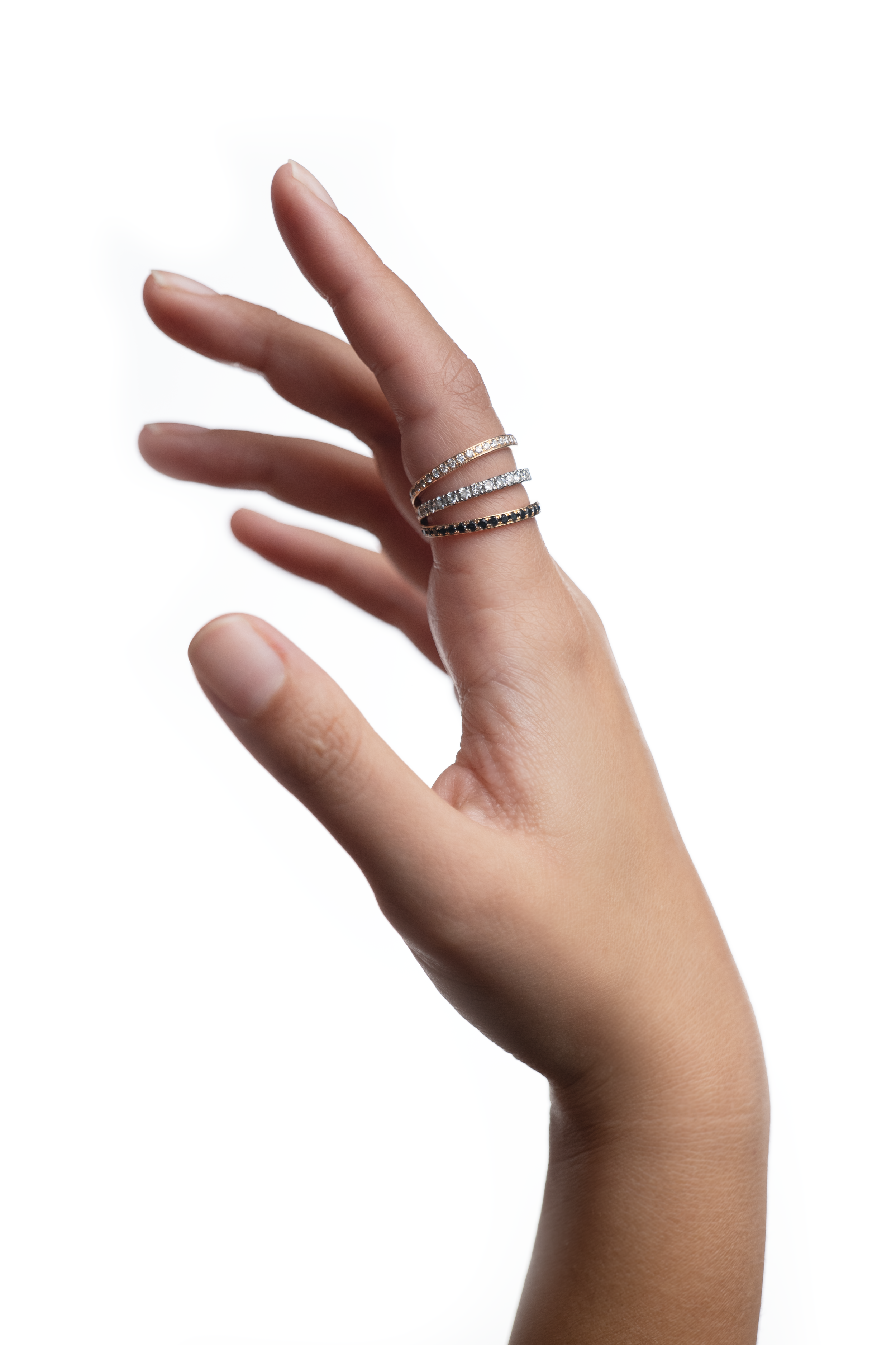 P1138600-Edit.png