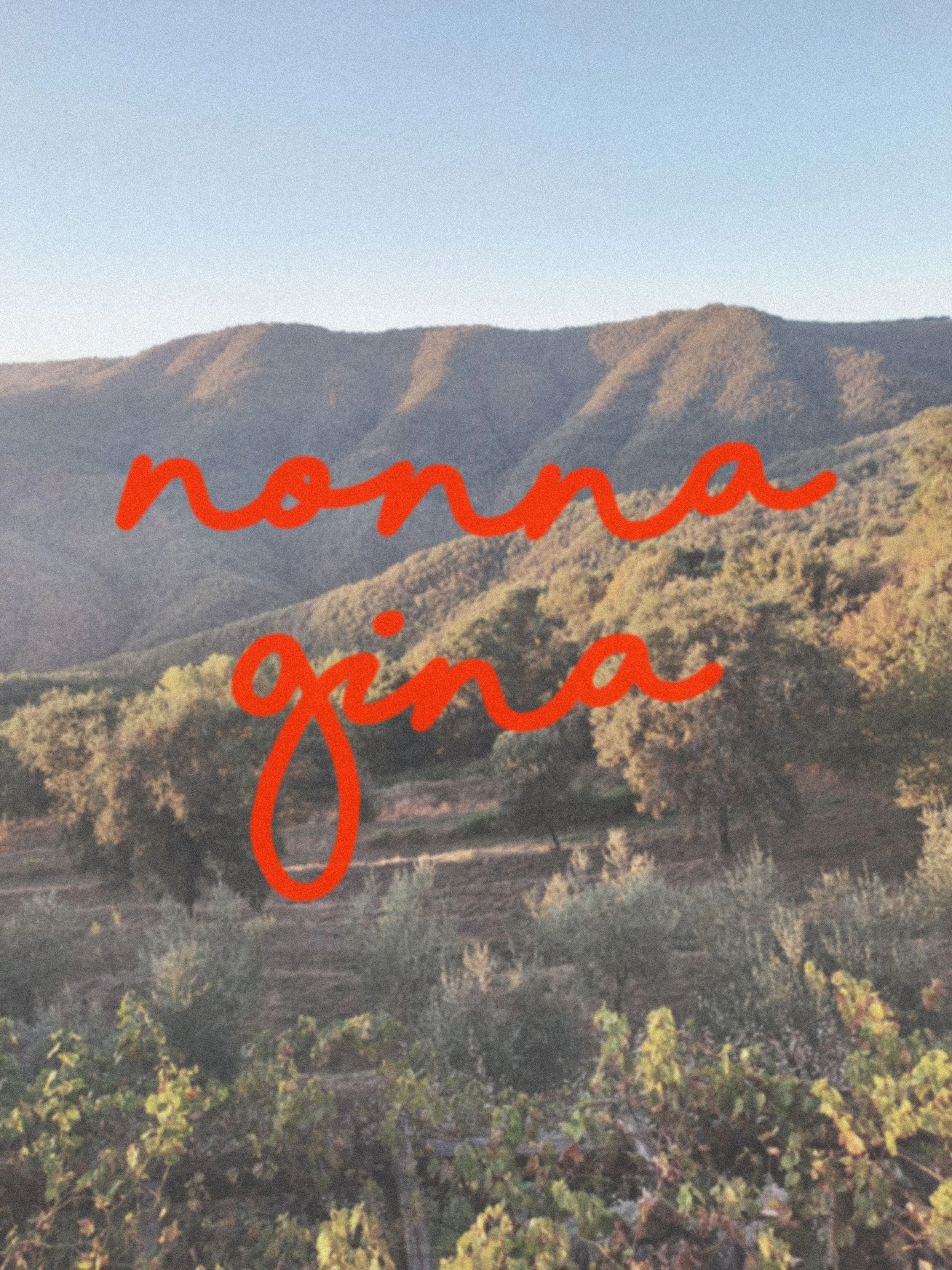   Nonna Gina   Creative Direction ::  @anotherlandcreative    Photographer ::  @kiligproductions   @fitzpatrick_simon    Production ::  @anotherlandcreative    Post Production ::  @anotherlandcreative  