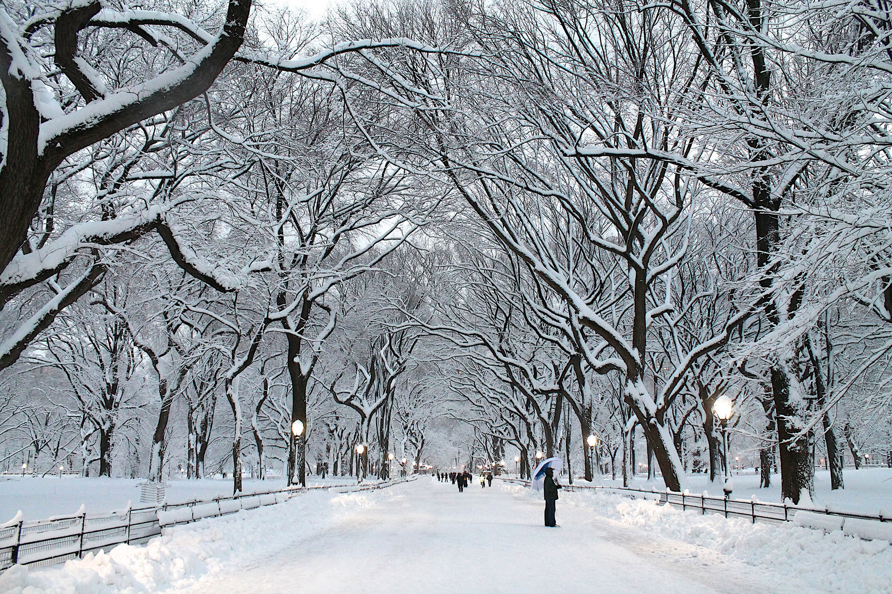 This Year 2018 at Sunset on the Winter Solstice December 21st, KALIMBASCOPE rolls New York City’s enchanted Central Park . From Columbus Circle thru Archways, down the Promenade of the majestic Mall and into the resonant chambers of the Bethesda Terrace.