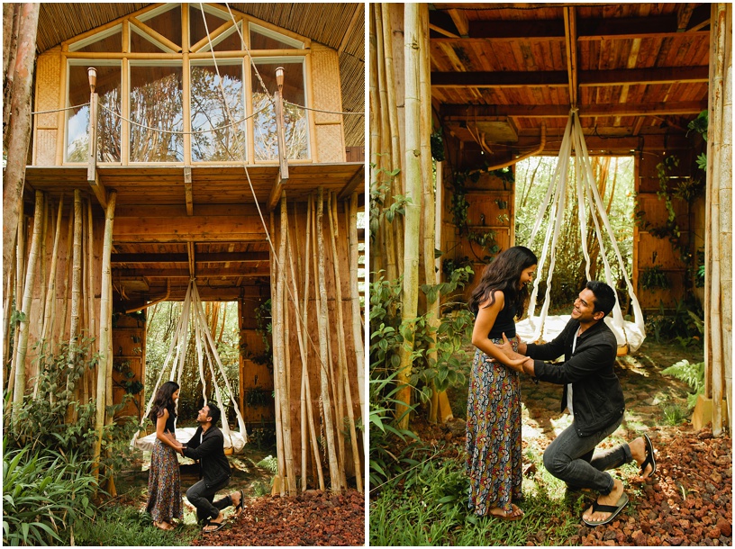 Tree House Proposal Big Island Hawaii_3.JPG